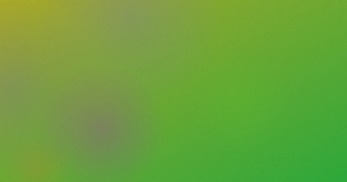 FTM推荐：新手从零开始的行动清单